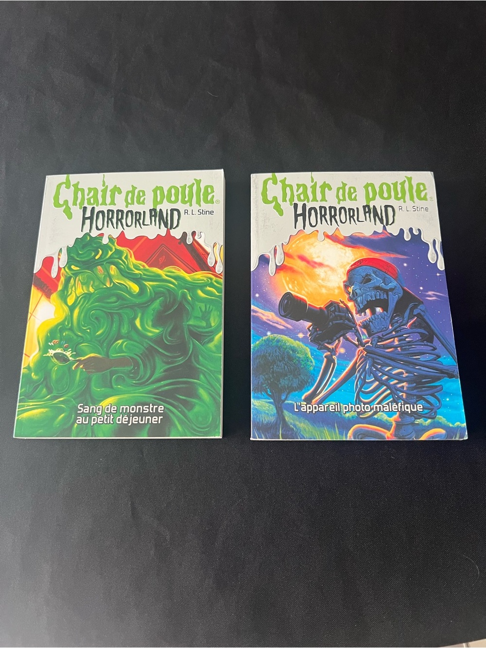 2 French Goosebumps HorrorLand Books Chair de poule RL Stine Lot